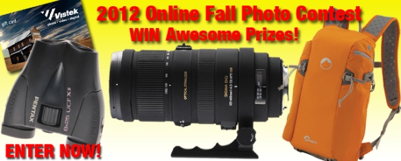 2012 Online Fall contest